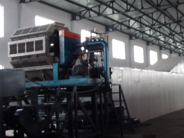 4X8蛋托機河南現場調試